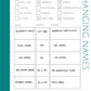 Changing Names Page: Printable Genealogy Form (Digital Download)