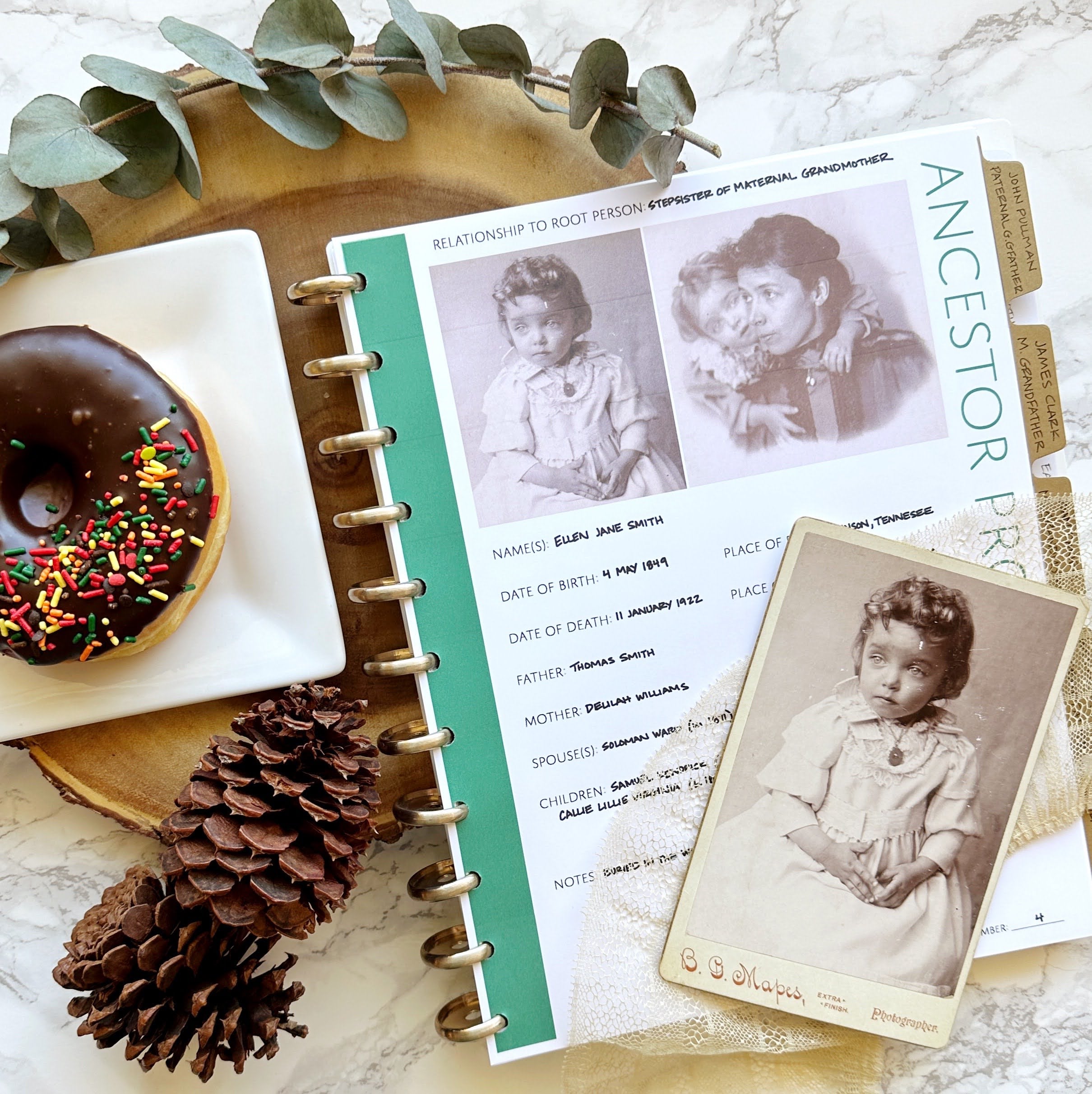 Family Tree Notebook.pdf Which PDF Program Should I Use to Fill in My Family Tree Notebooks Pag