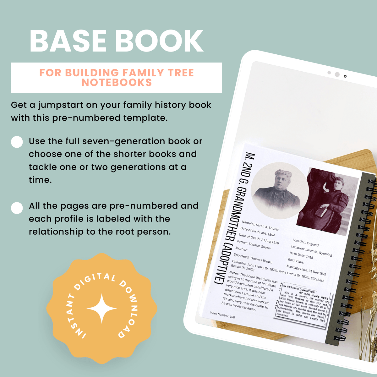 Canva Base Book Template: Completely Pre-Numbered with Relationships ...