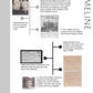 Timeline (Blank): Printable Genealogy Form (Digital Download)