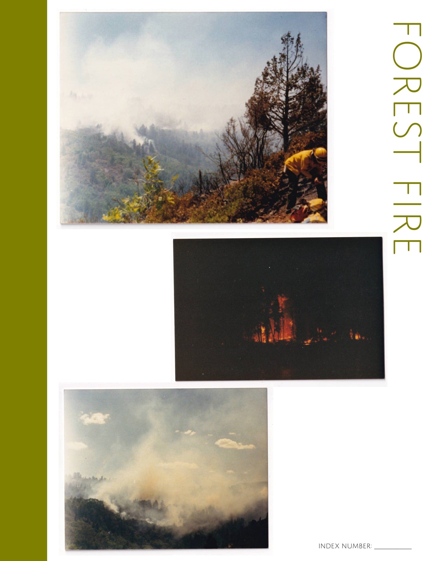 Forest Fire: Printable Genealogy Forms (Digital Download)