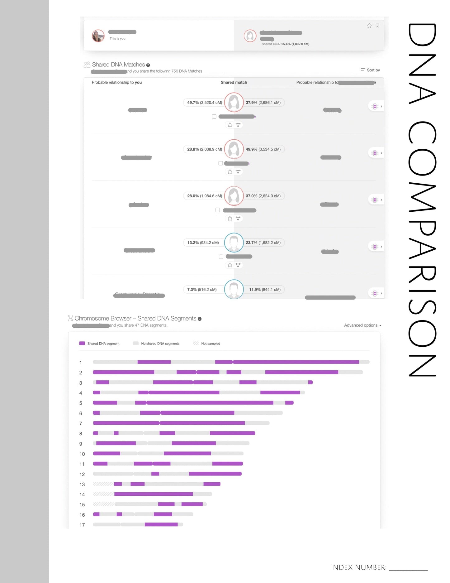 DNA Comparison Page: Printable Genealogy Forms (Digital Download)