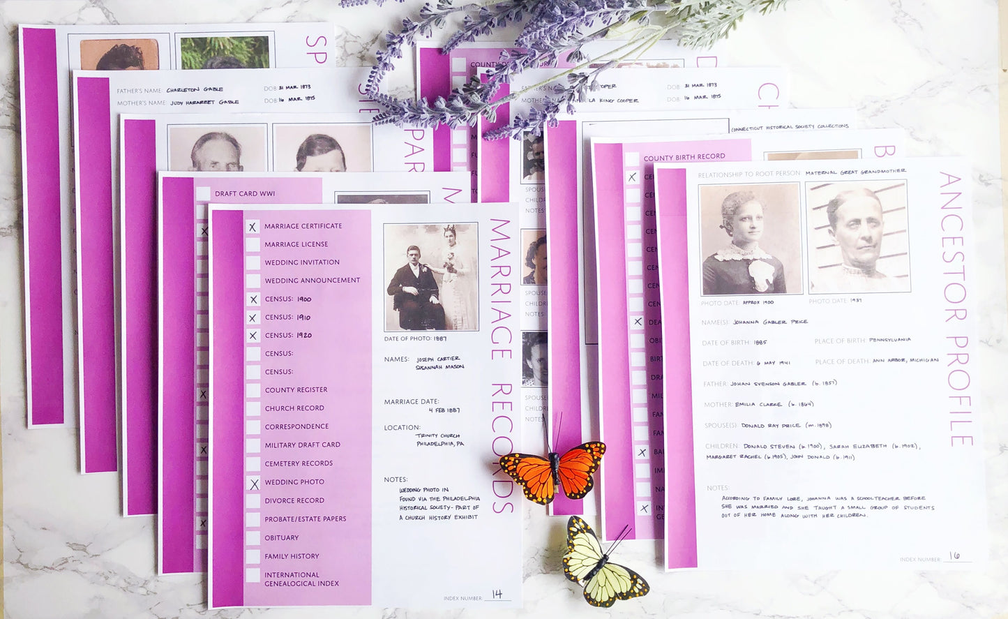 USA Deluxe Family History Bundle - Purple (Digital Download)