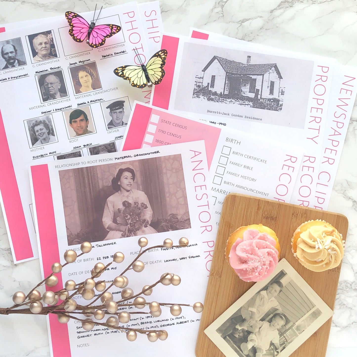 USA Deluxe Family History Bundle - Pink (Digital Download)