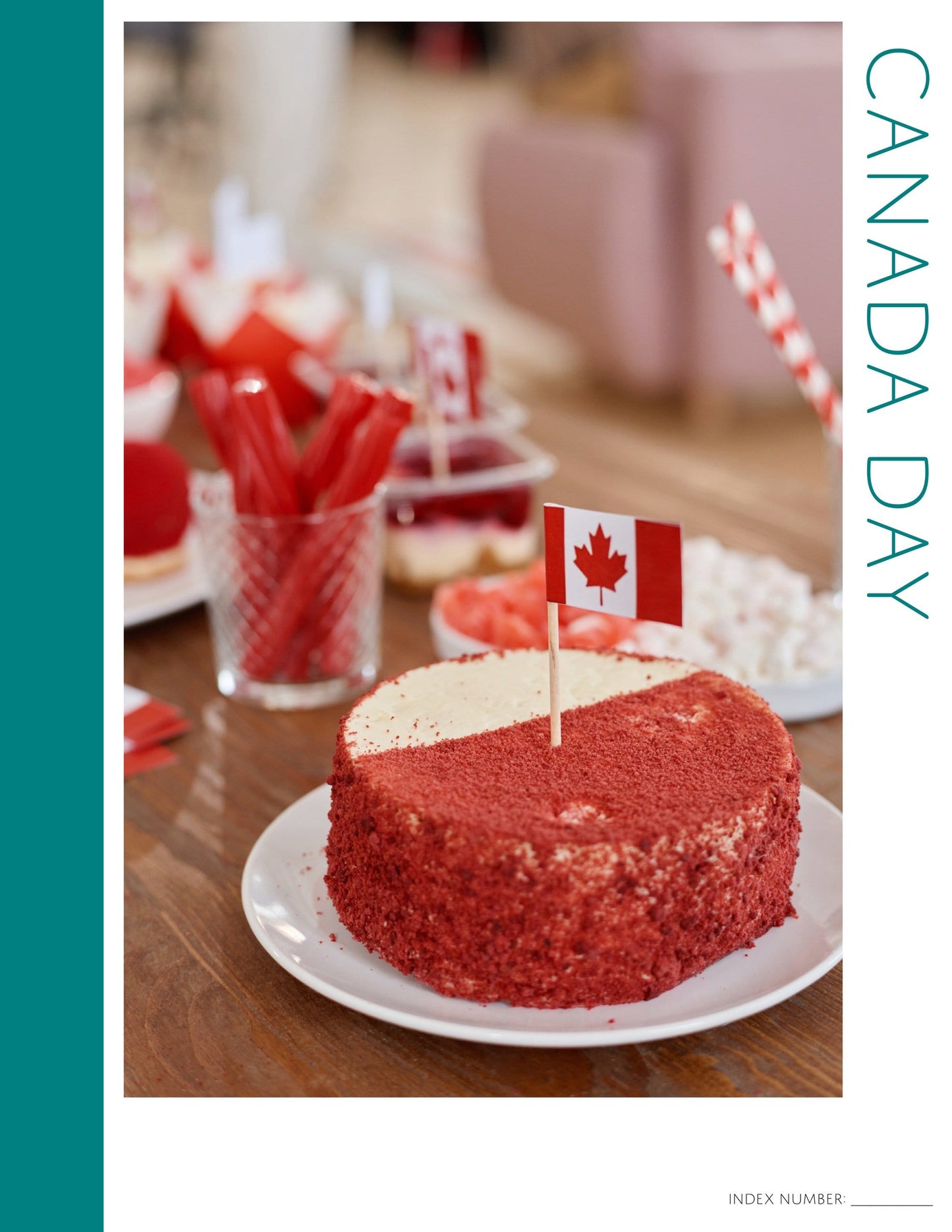 Canada Day: Printable Genealogy Form (Digital Download)
