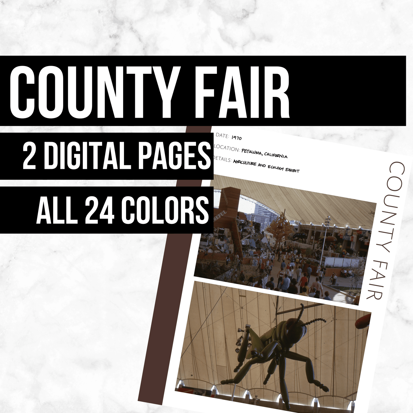 County Fair: Printable Genealogy Form (Digital Download)