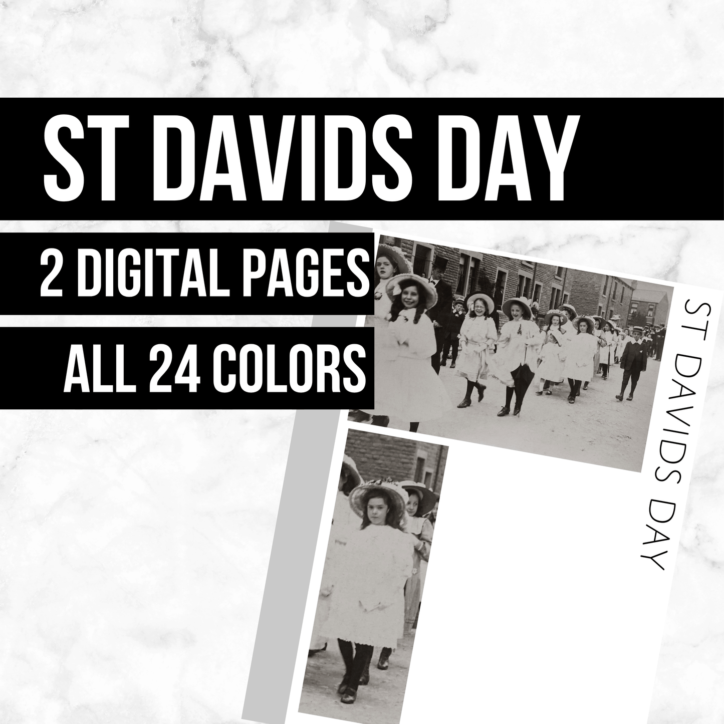 St. Davids Day: Printable Genealogy Form (Digital Download)
