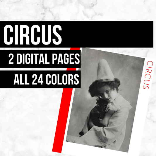 Circus: Printable Genealogy Form (Digital Download)