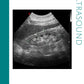 Ultrasound Bundle: Printable Genealogy Form (Digital Download)
