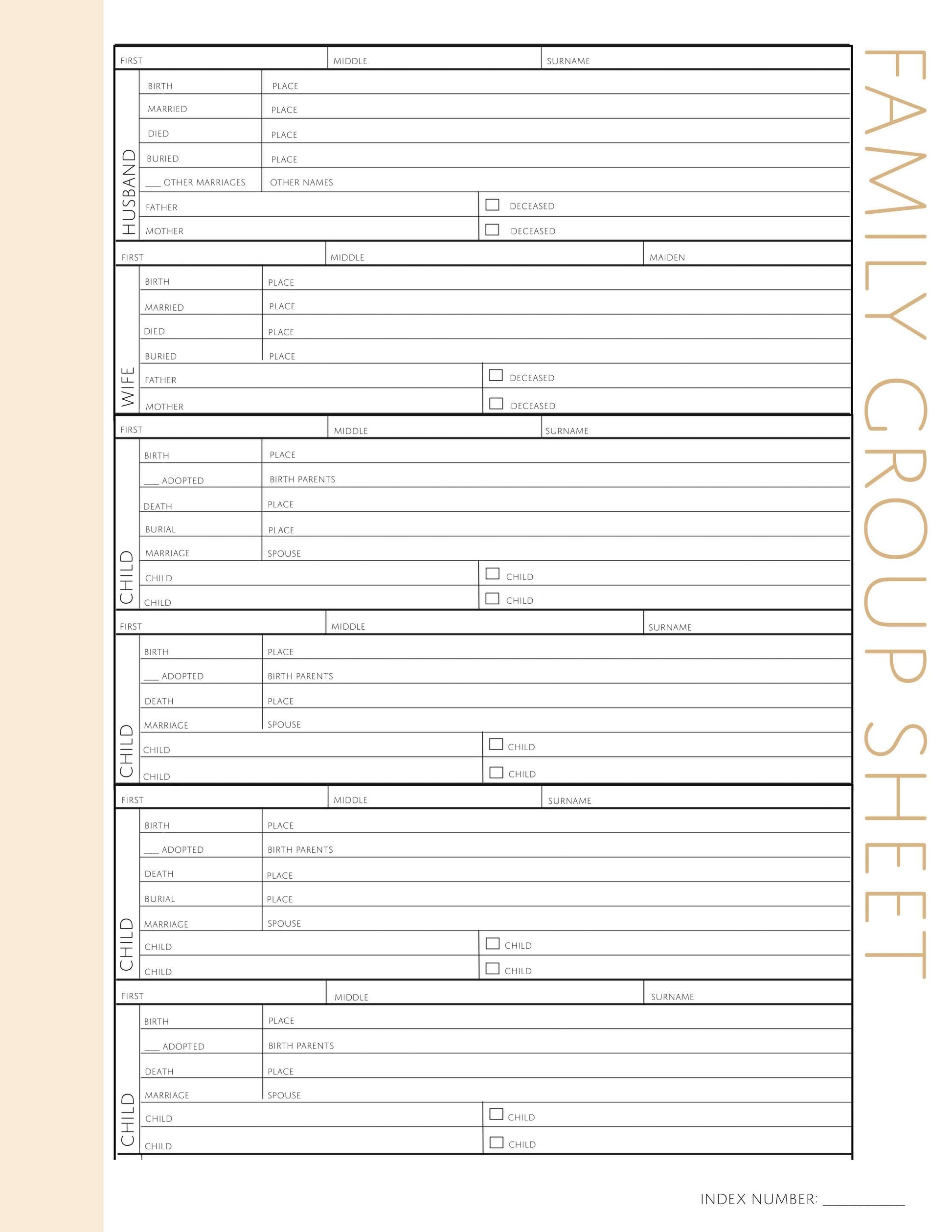 USA Deluxe Family History Bundle - Antique White (Digital Download) – Family Tree Notebooks usa-deluxe-family-history-bundle-antique-white-digital-download-family-tree-notebooks