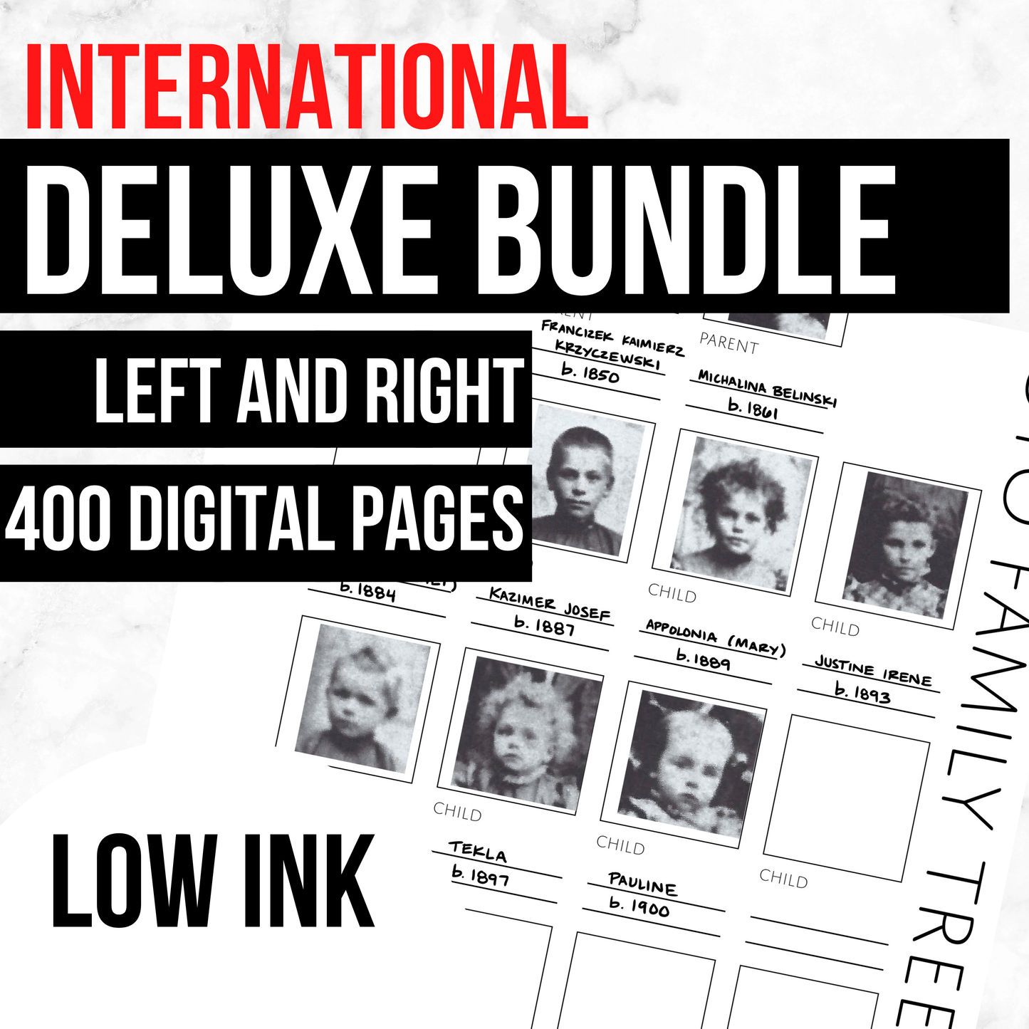 Low-Ink International Deluxe Family History Bundle (Digital Download)