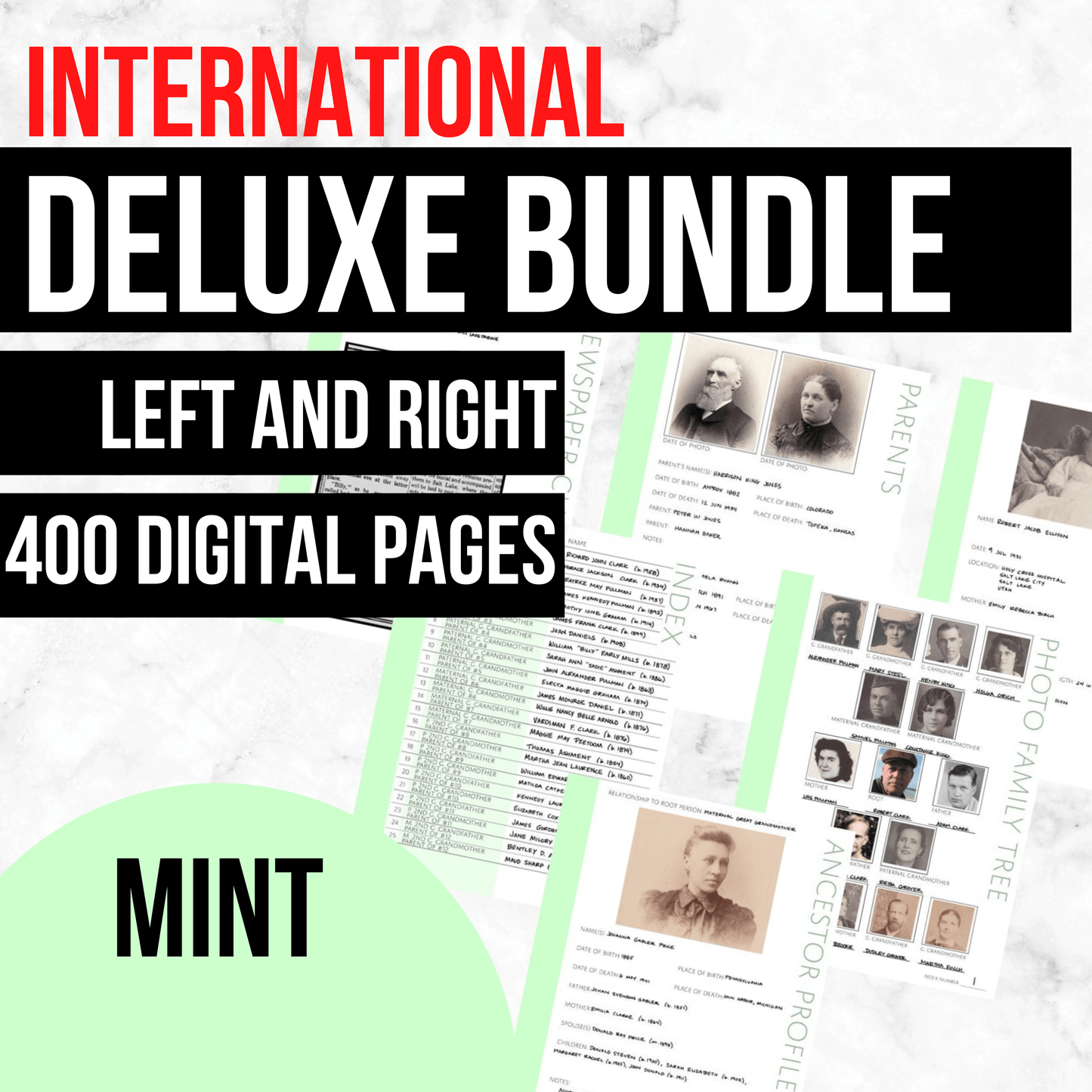 International Deluxe Family History Bundle - Mint (Digital Download)