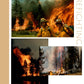 Firefighting: Printable Genealogy Form (Digital Download)