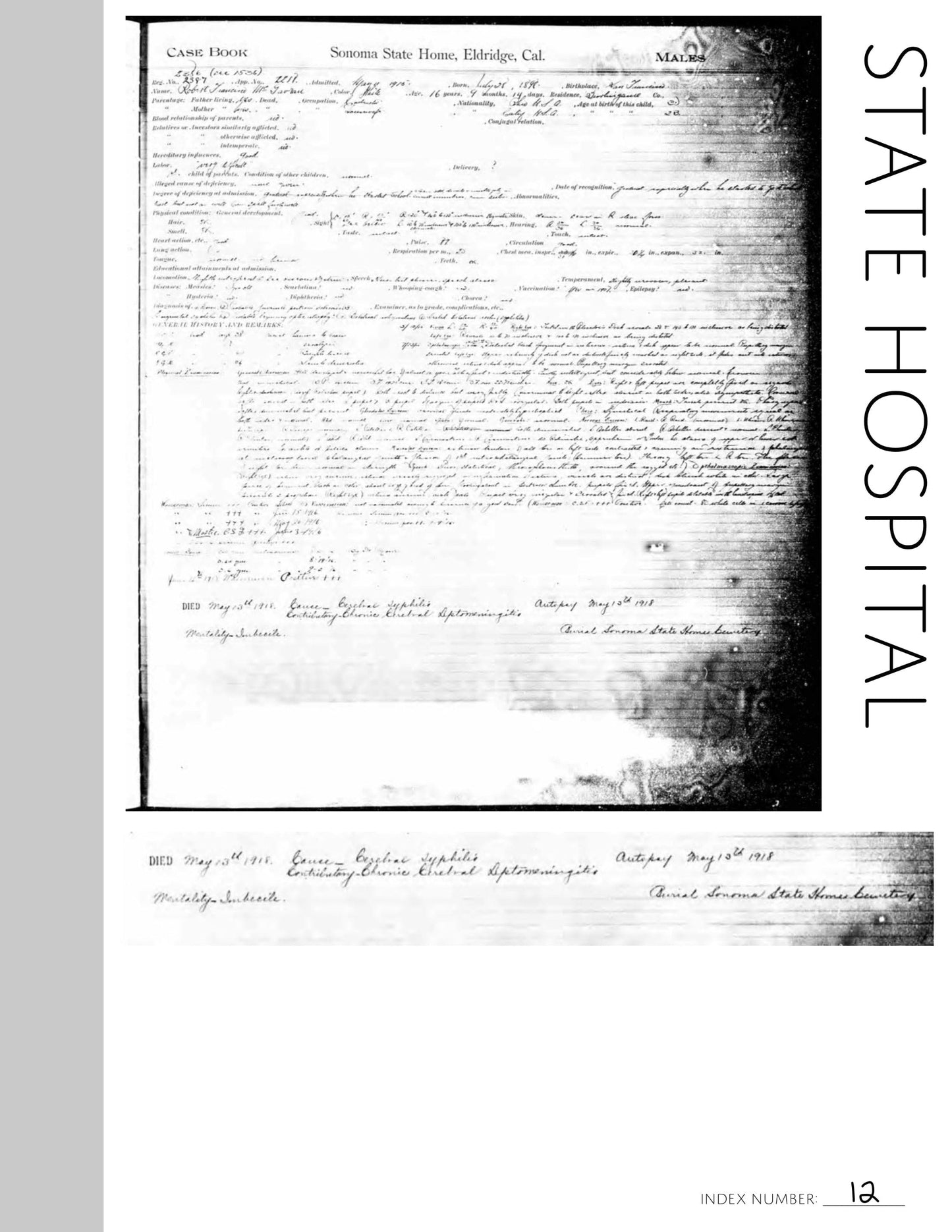 State Hospital Page: Printable Genealogy Form (Digital Download)