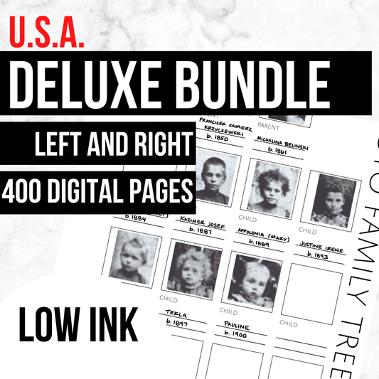 Low-Ink USA Deluxe Ultimate Family History Bundle (Digital Download)